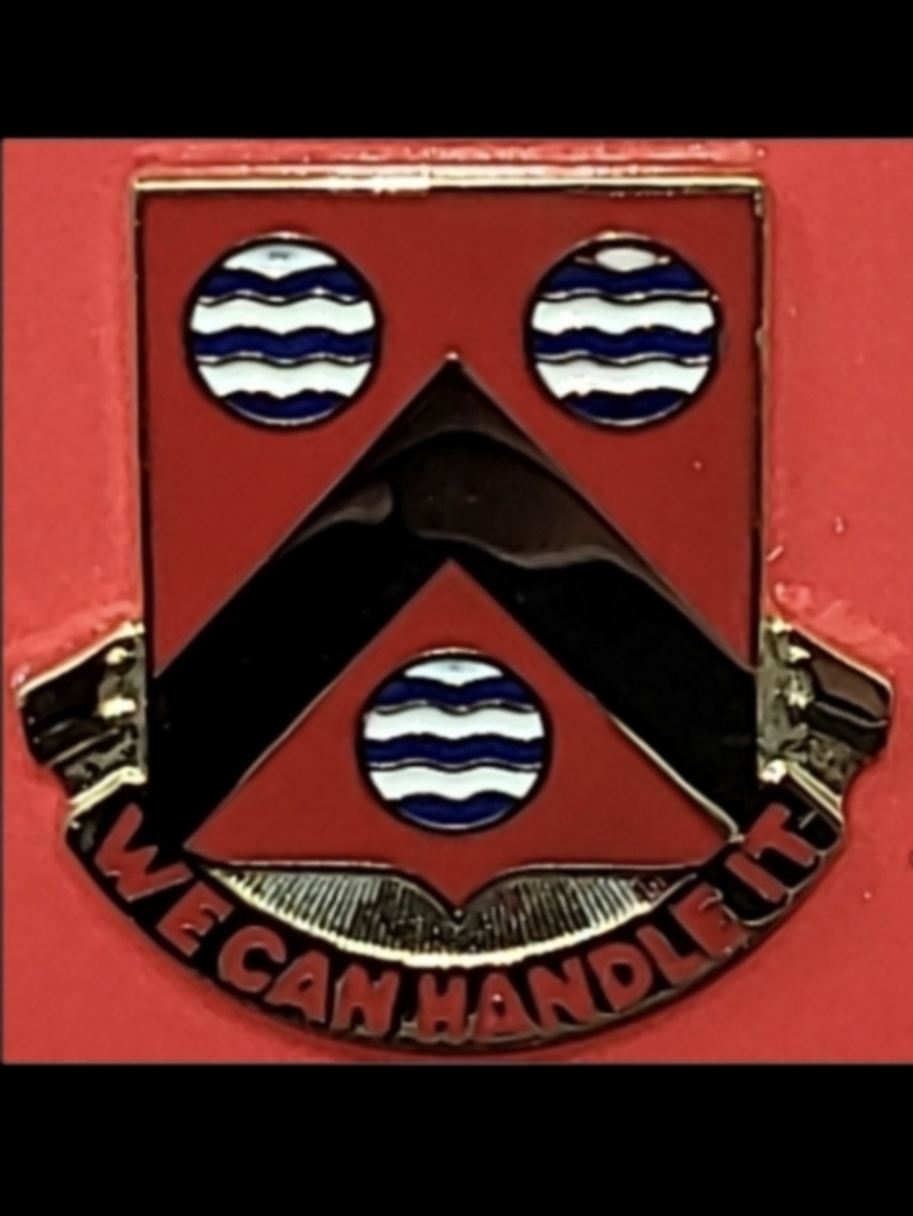 U.S. ARMY 498th SUPPORT BATTALION PIN "WE CAN HANDLE IT"